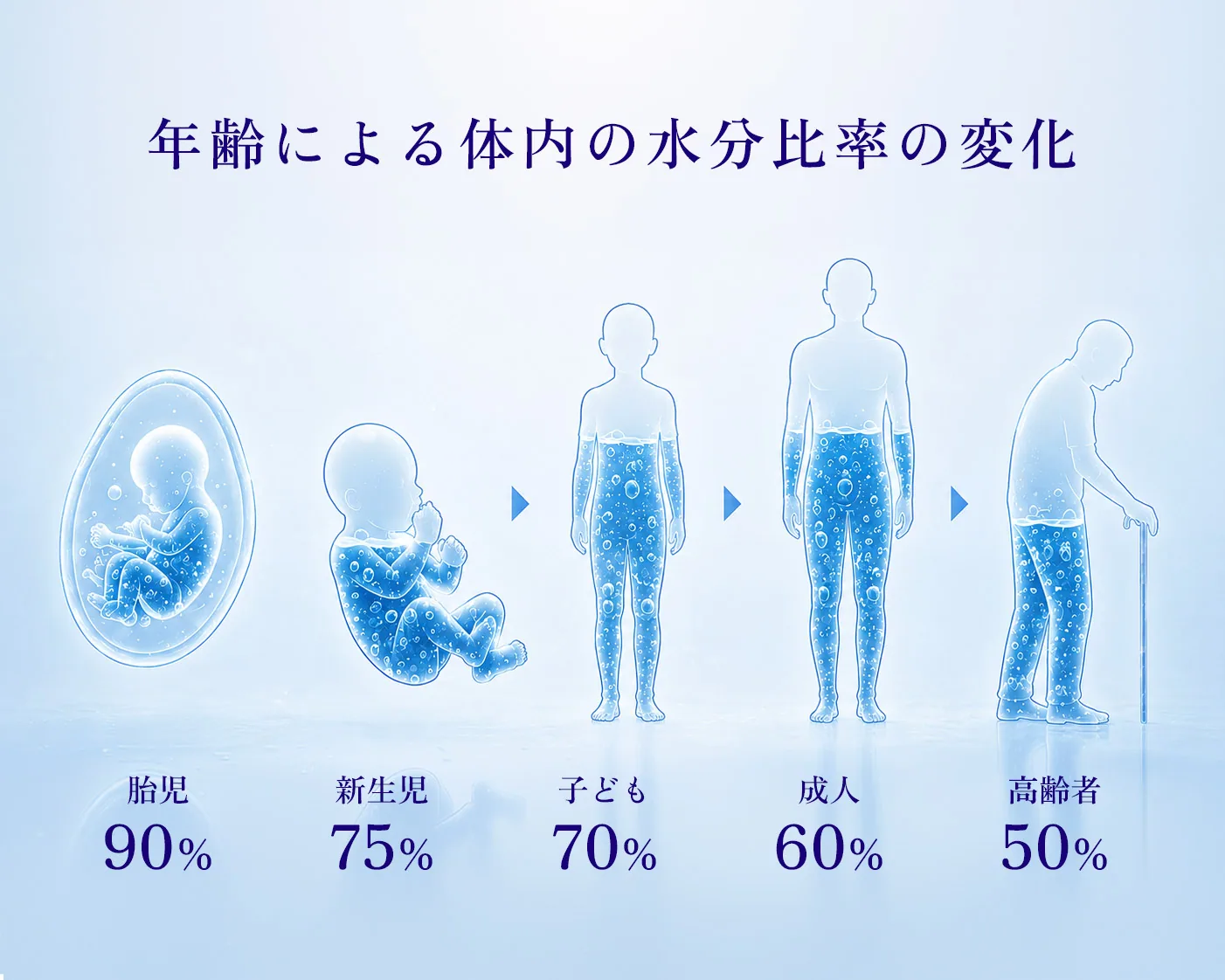 年齢による体内の水分比率の変化